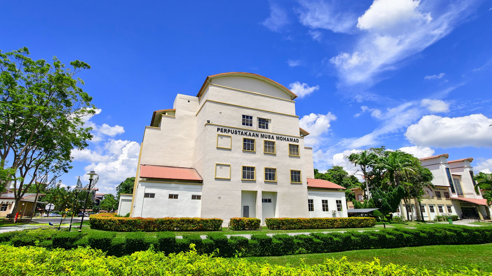 LibraryMusa1